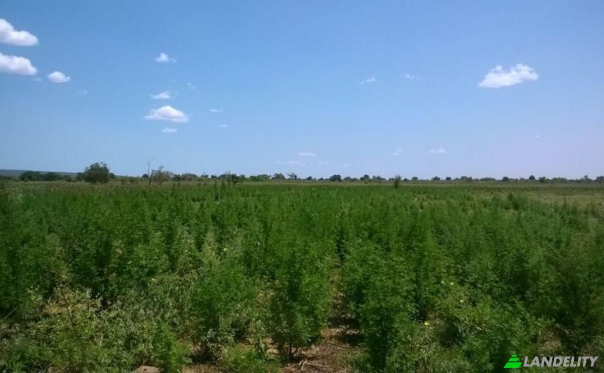 Lotto di terreno in vendita Toliara, Toliary-I, Atsimo-Andrefana, Madagascar. Foto 2