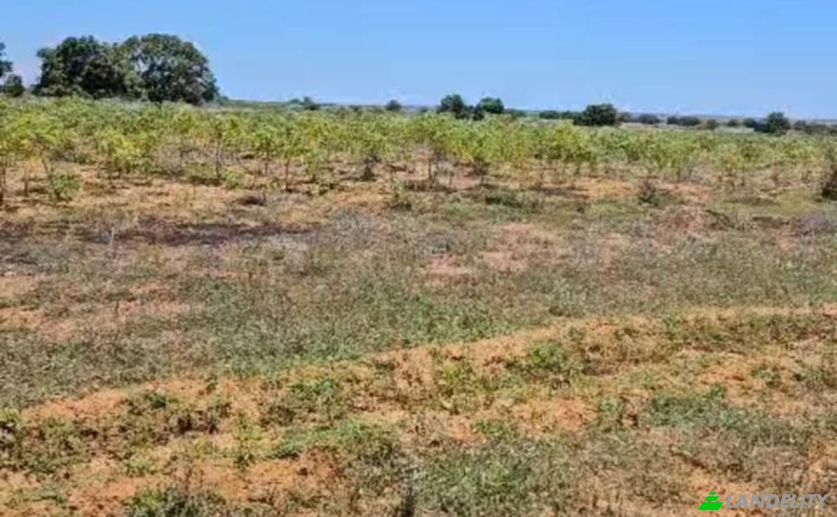 Lotto di terreno in vendita Toliara, Toliary-I, Atsimo-Andrefana, Madagascar. Foto 3