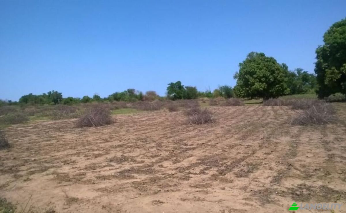 Lotto di terreno in vendita Toliara, Toliary-I, Atsimo-Andrefana, Madagascar. Foto 4