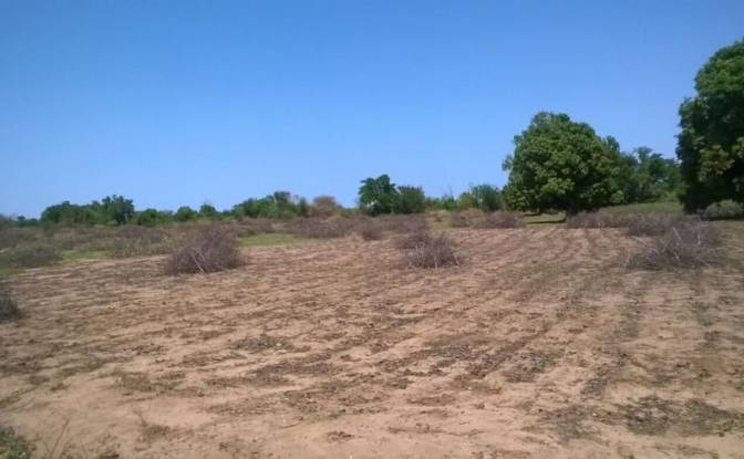 Grondperceel Te koop Toliara, Toliary-I. Foto#4 Grondperceel Te koop Toliara, Toliary-I. Foto#4