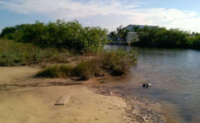 Land Lot for Sale 441 Sailfish Ave, Ladyville. Photo#5