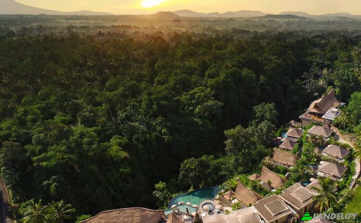 Hotel for Sale Jl Raya Desa Kenderan No88X, Kenderan, Gianyar Regency, Bali, Indonesia, Kecamatan Ubud, Kabupaten Gianyar, Bali 80571. Photo 1