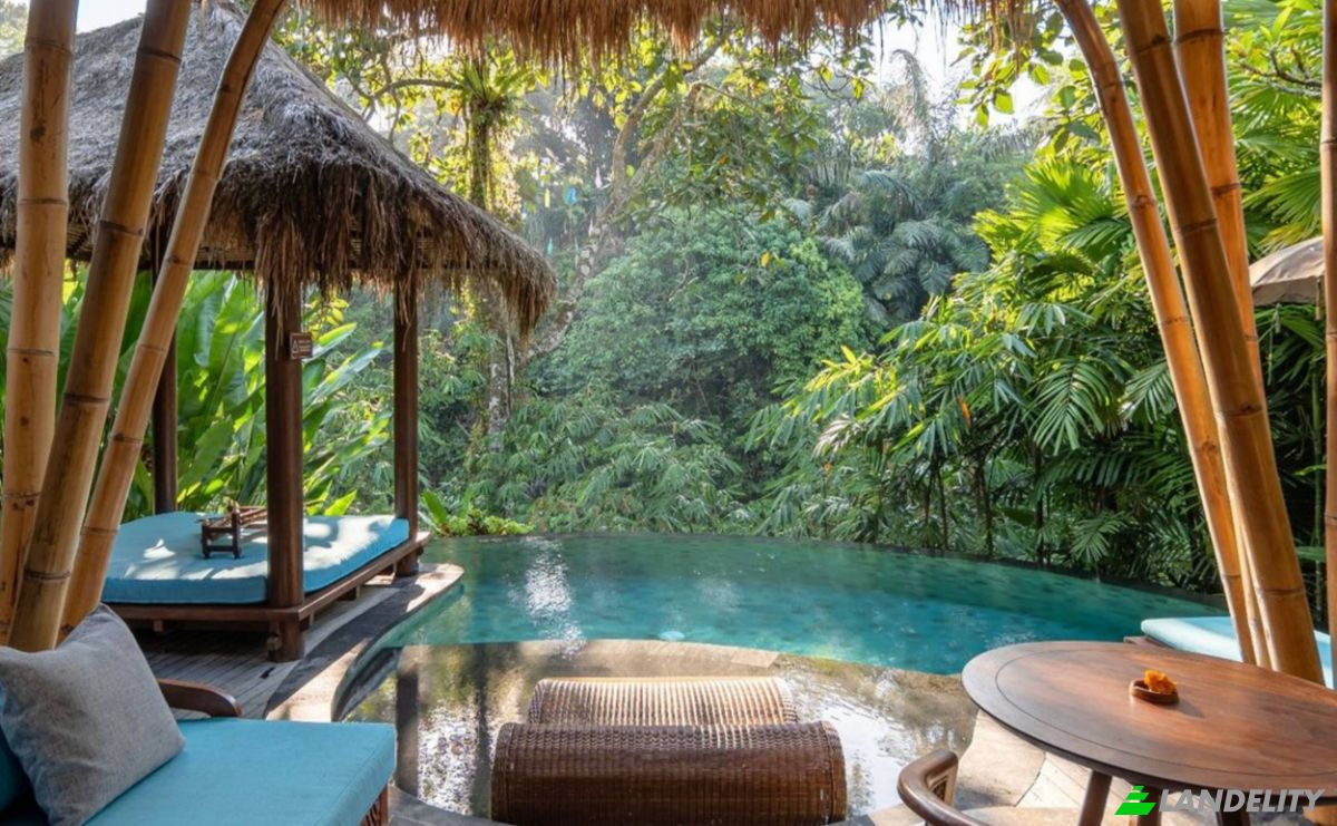 Hotel for Sale Jl Raya Desa Kenderan No88X, Kenderan, Gianyar Regency, Bali, Indonesia, Kecamatan Ubud, Kabupaten Gianyar, Bali 80571. Photo 16