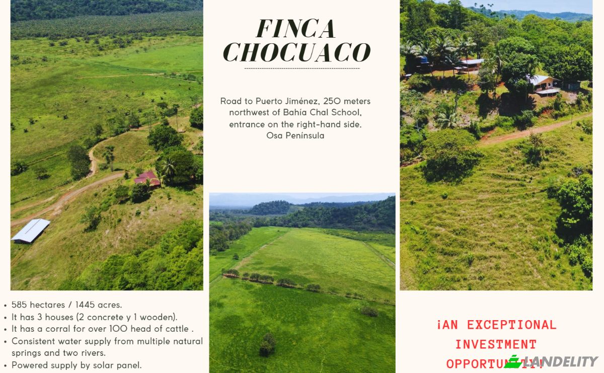 Investing/Development for Sale Sierpe, Provincia de Puntarenas, Puntarenas Province, Osa, Costa Rica. Photo 1