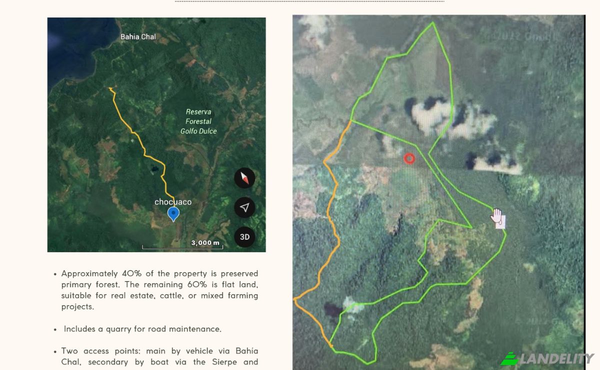 Investing/Development for Sale Sierpe, Provincia de Puntarenas, Puntarenas Province, Osa, Costa Rica. Photo 2