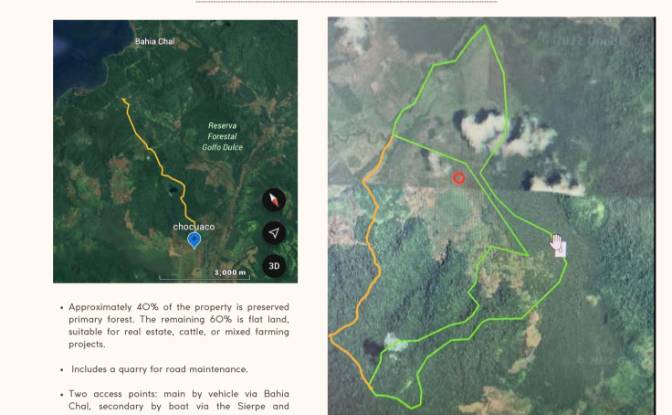 Investing/Development for Sale Sierpe. Photo#2 Investing/Development for Sale Sierpe. Photo#2