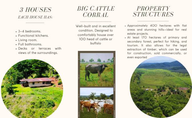 Investing/Development for Sale Sierpe. Photo#5 Investing/Development for Sale Sierpe. Photo#5