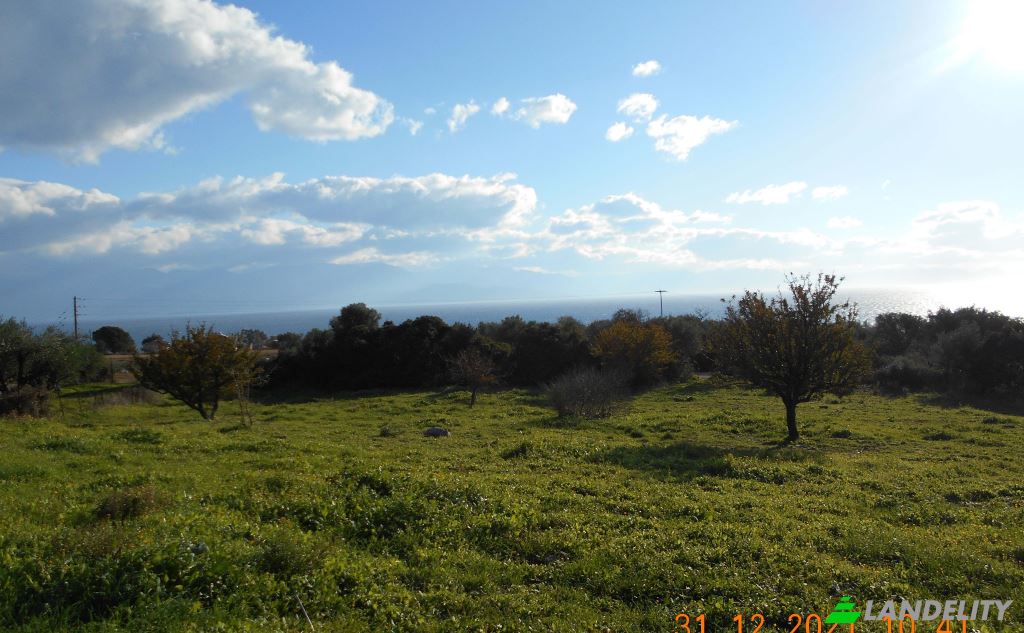 Land Lot for Sale Petalidi, Peloponnese Region, Decentralized Administration of Peloponnese, Western Greece and the Ionian, Greece. Photo 3