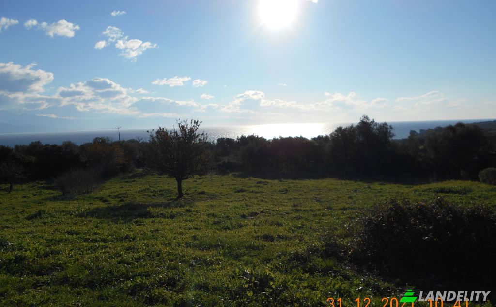 Land Lot for Sale Petalidi, Peloponnese Region, Decentralized Administration of Peloponnese, Western Greece and the Ionian, Greece. Photo 4
