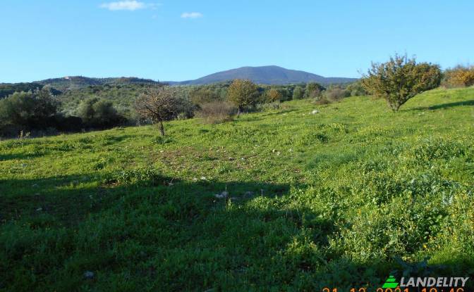 Land Lot for Sale Petalidi, Peloponnese Region. Photo#6