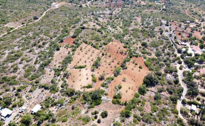 Land Lot for Sale A22, 8700 Moncarapacho. Photo#11