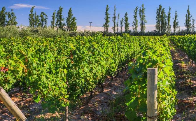 Land Lot for Sale - Ingeniero Gustavo Andre, Argentina
