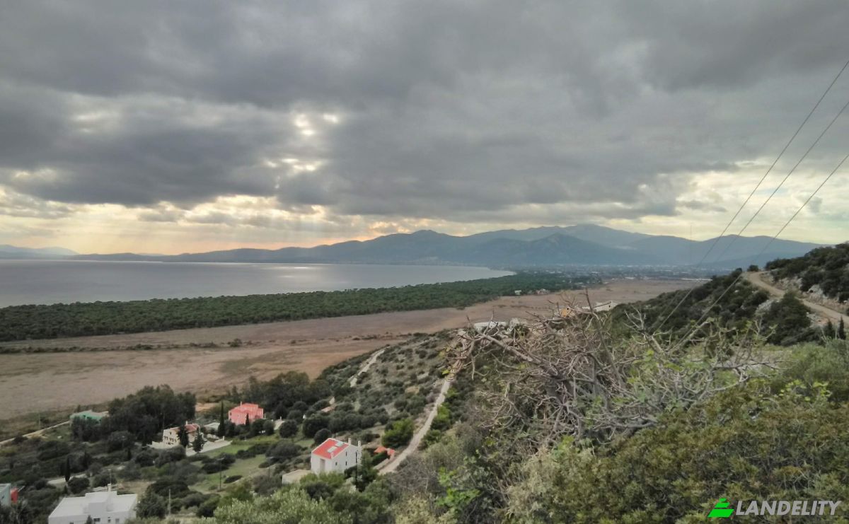 Lotto di terreno in vendita 1 326, Dikastika 190 07, Marathon, Attica, Decentralized Administration of Attica, Greece. Foto 1