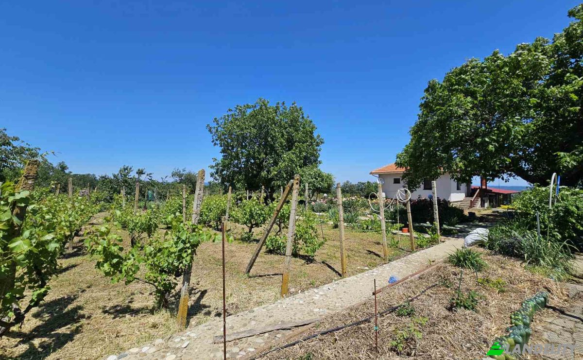 Single Family Home for Sale 9107 Gospodinovo, Gospodinovo, Byala, Varna, Bulgaria. Photo 4