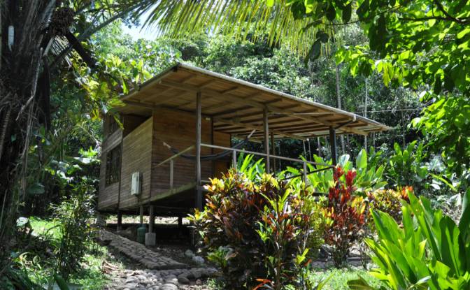 Farm/Ranch for Sale Via Sin Nombre, Canelos. Photo#2 Farm/Ranch for Sale Via Sin Nombre, Canelos. Photo#2