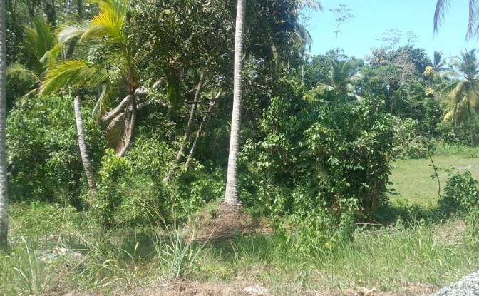 Investing/Development for Sale - Bandaranayake, Sri Lanka