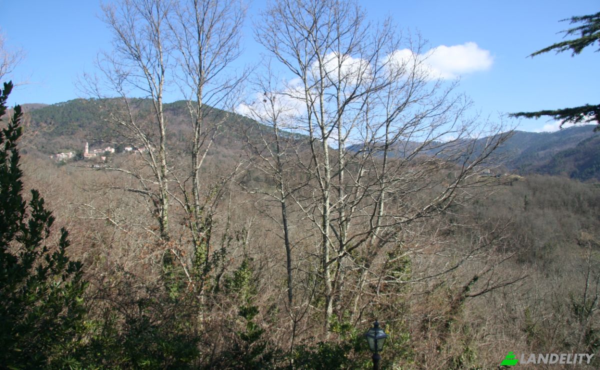 Villa for Sale Case Sparse Calcinara, 19020 Sesta Godano SP, Sesta Godano, Province of La Spezia, Liguria, Italy. Photo 17