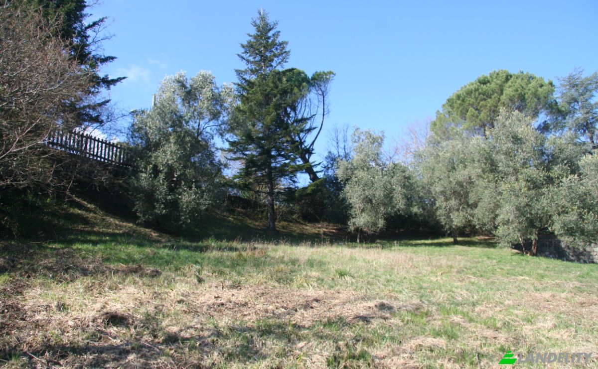 Villa for Sale Case Sparse Calcinara, 19020 Sesta Godano SP, Sesta Godano, Province of La Spezia, Liguria, Italy. Photo 19
