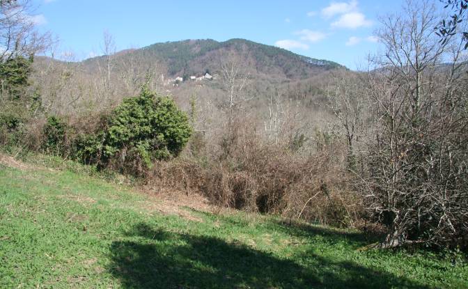 Villa for Sale Case Sparse Calcinara. Photo#23