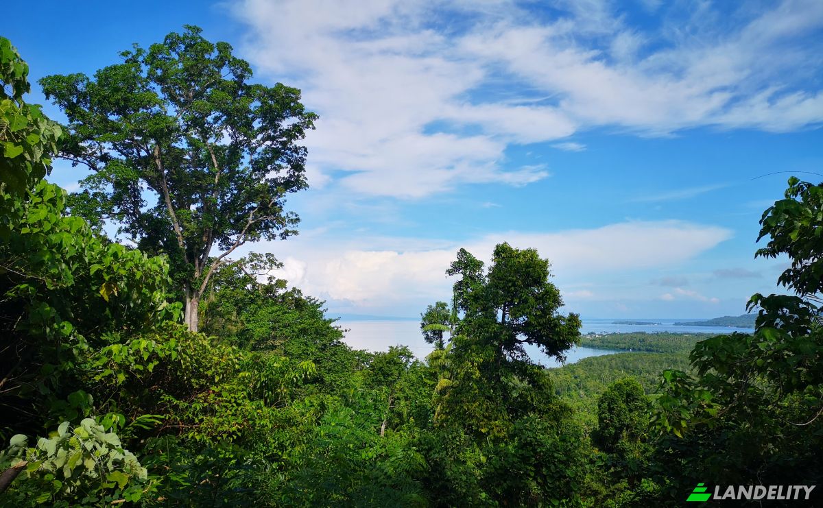 Investing/Development for Sale Wayabula, Morotai Island Regency, North Maluku, Indonesia, Daruba, Kec Morotai Sel Bar, Kabupaten Pulau Morotai, Maluku Utara. Photo 10