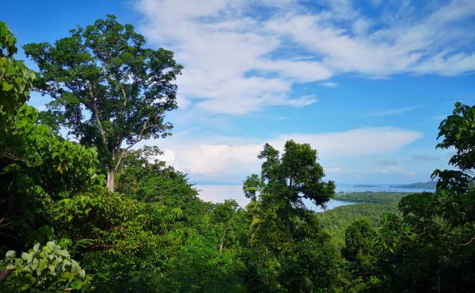 Investing/Development for Sale Wayabula. Photo#10