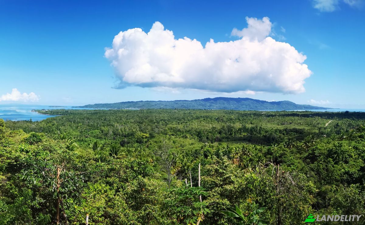 Investing/Development for Sale Wayabula, Morotai Island Regency, North Maluku, Indonesia, Daruba, Kec Morotai Sel Bar, Kabupaten Pulau Morotai, Maluku Utara. Photo 3