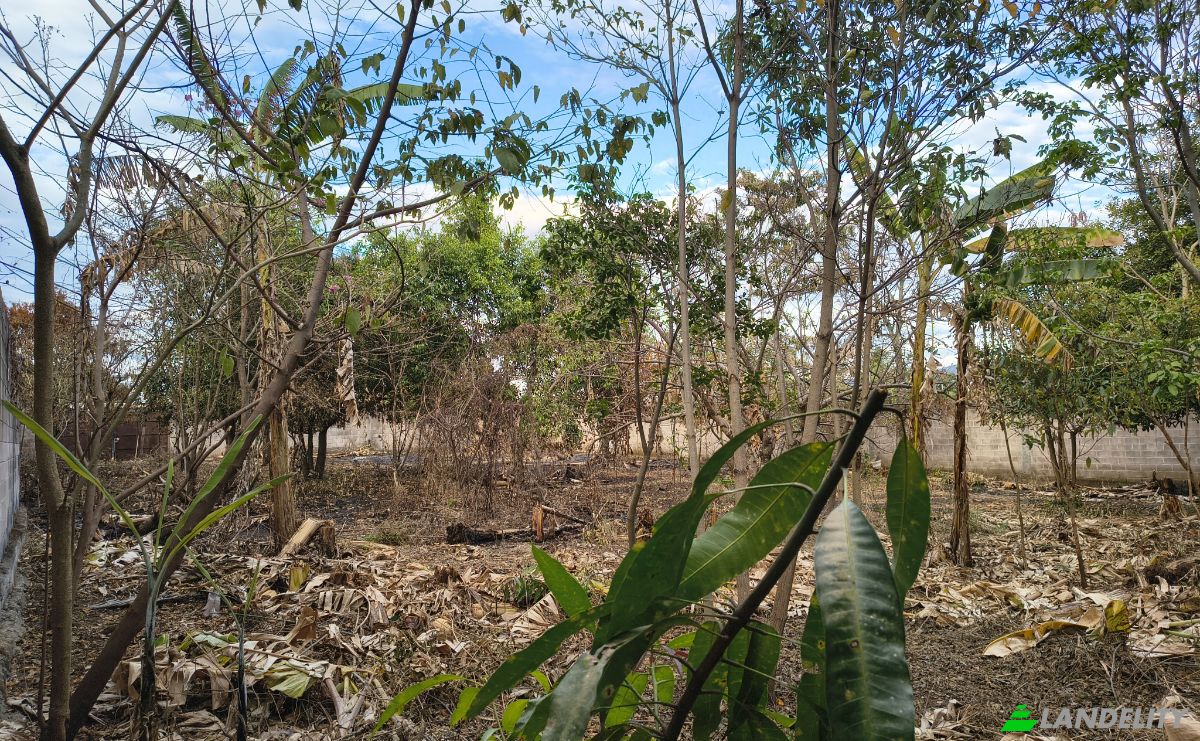 Lote de terreno en venta Av Teniente Ricardo Mancía, El Congo, Santa Ana Este, Santa Ana, El Salvador. Foto 3