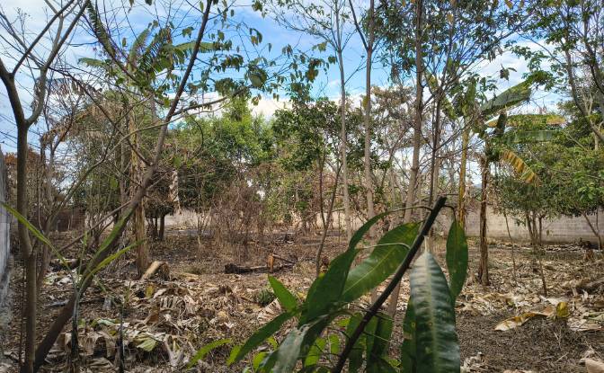 Lote de terreno en venta Av Teniente Ricardo. Foto#3