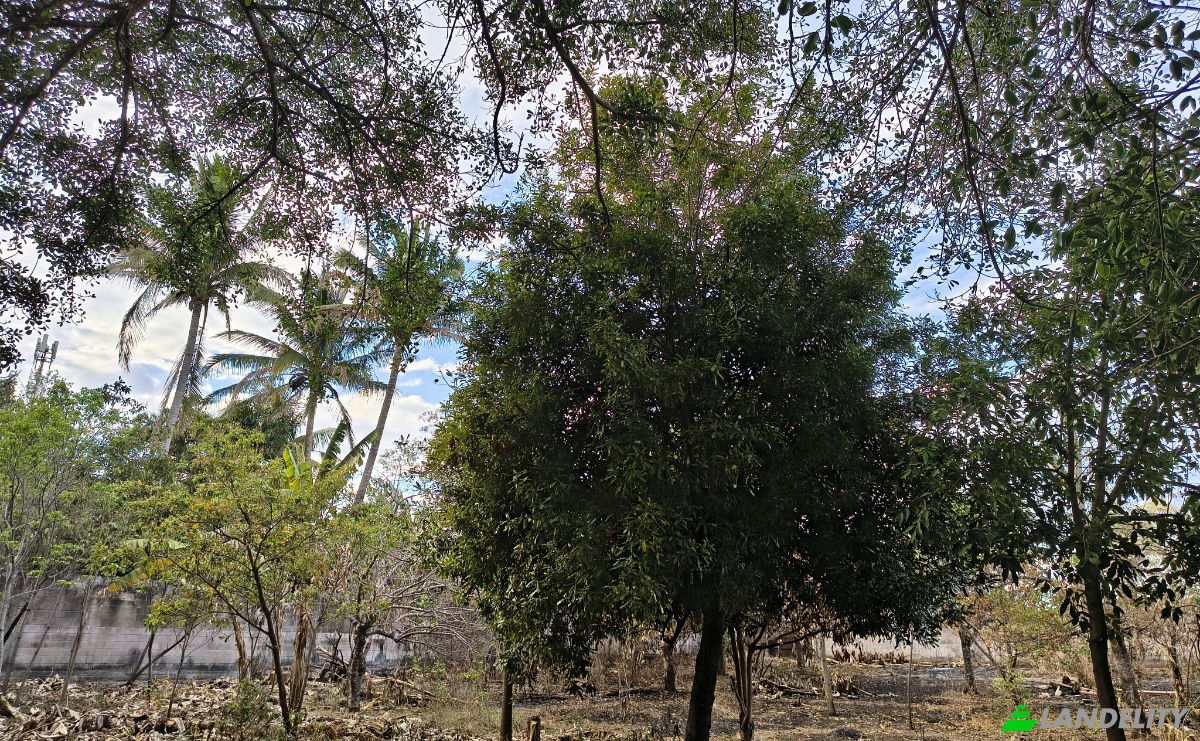 Lote de terreno en venta Av Teniente Ricardo Mancía, El Congo, Santa Ana Este, Santa Ana, El Salvador. Foto 4
