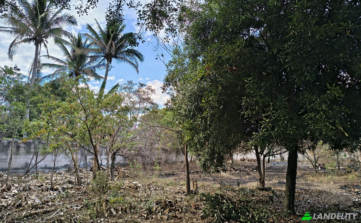 Lote de terreno en venta Av Teniente Ricardo Mancía, El Congo, Santa Ana Este, Santa Ana, El Salvador. Foto 1
