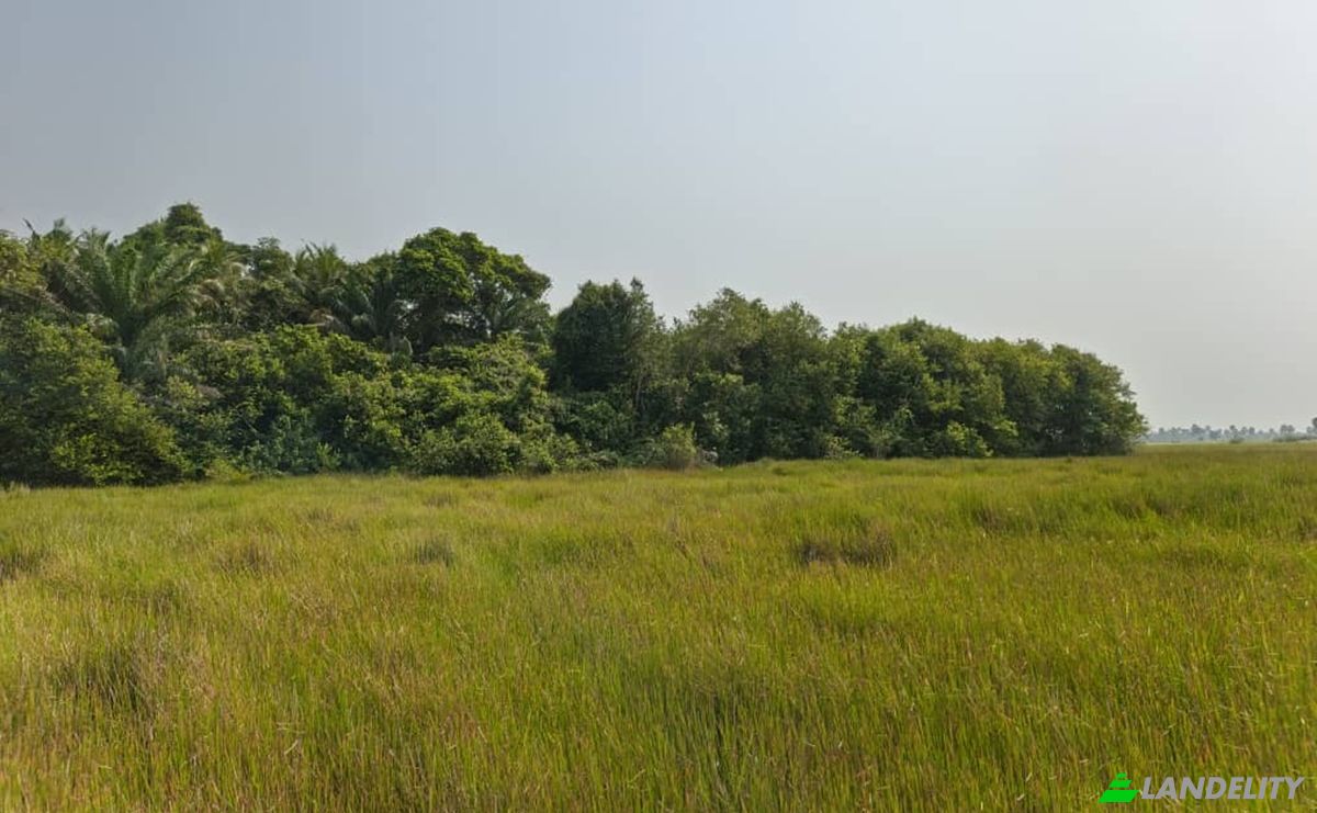 Investing/Development for Sale Grand-Lahou, Grands-Ponts, Lagunes District, Cote dIvoire. Photo 1
