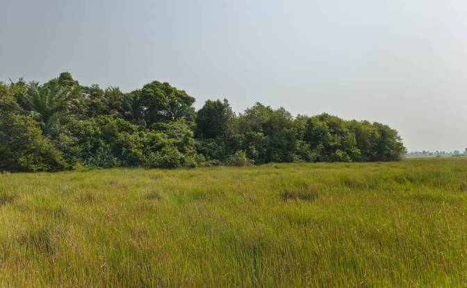 Investing/Development for Sale Grand-Lahou. Photo#1 Investing/Development for Sale Grand-Lahou. Photo#1