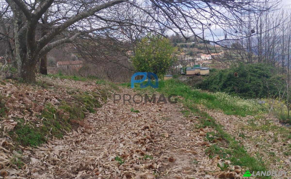 Land Lot for Sale Arco, 4660 Resende, Resende, Viseu District, Portugal. Photo 10
