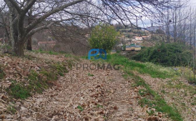 Land Lot for Sale Arco, 4660 Resende, Resende. Photo#10
