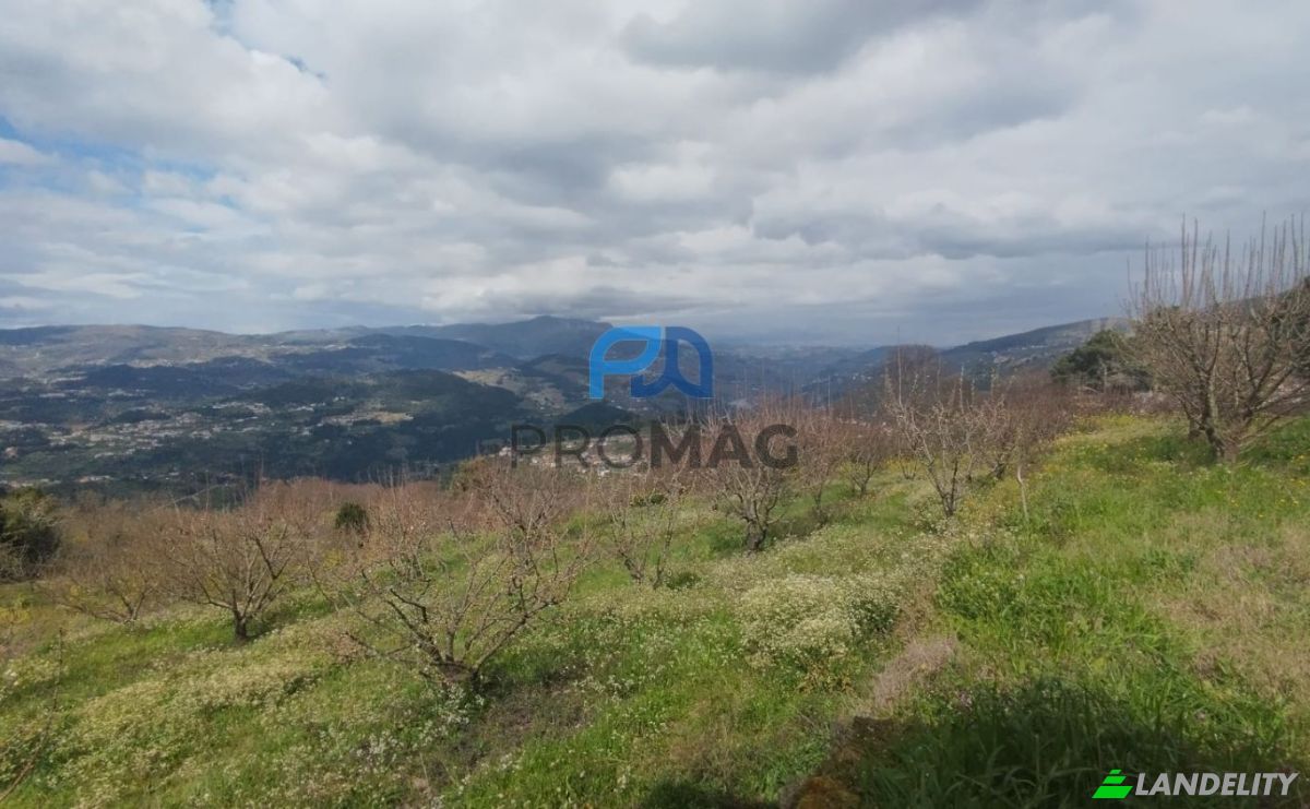 Land Lot for Sale Arco, 4660 Resende, Resende, Viseu District, Portugal. Photo 11