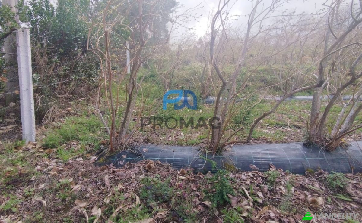 Land Lot for Sale Arco, 4660 Resende, Resende, Viseu District, Portugal. Photo 13