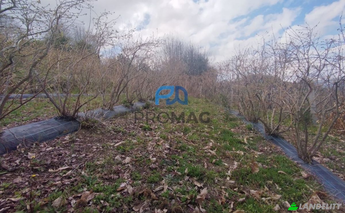 Land Lot for Sale Arco, 4660 Resende, Resende, Viseu District, Portugal. Photo 14
