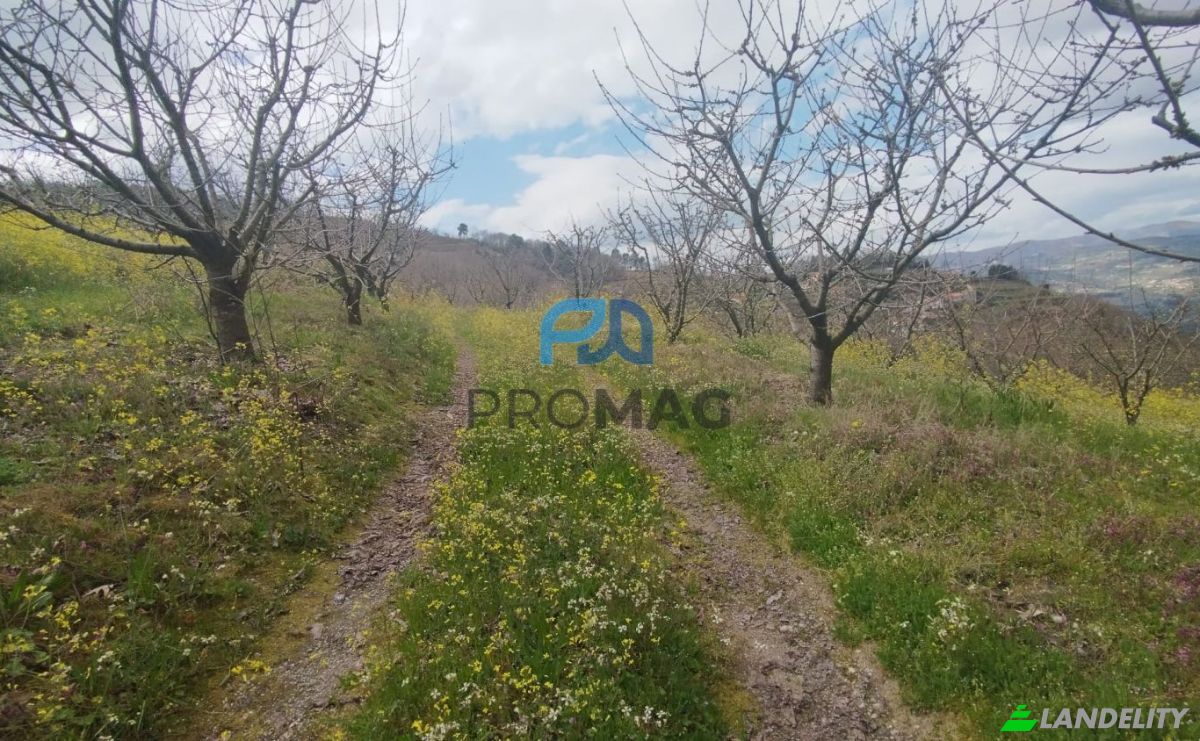 Land Lot for Sale Arco, 4660 Resende, Resende, Viseu District, Portugal. Photo 3