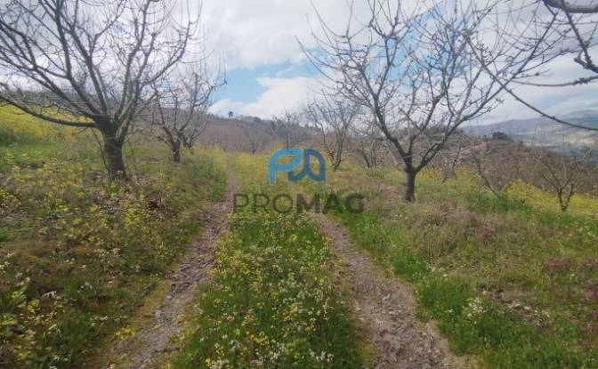 Land Lot for Sale Arco, 4660 Resende, Resende. Photo#3