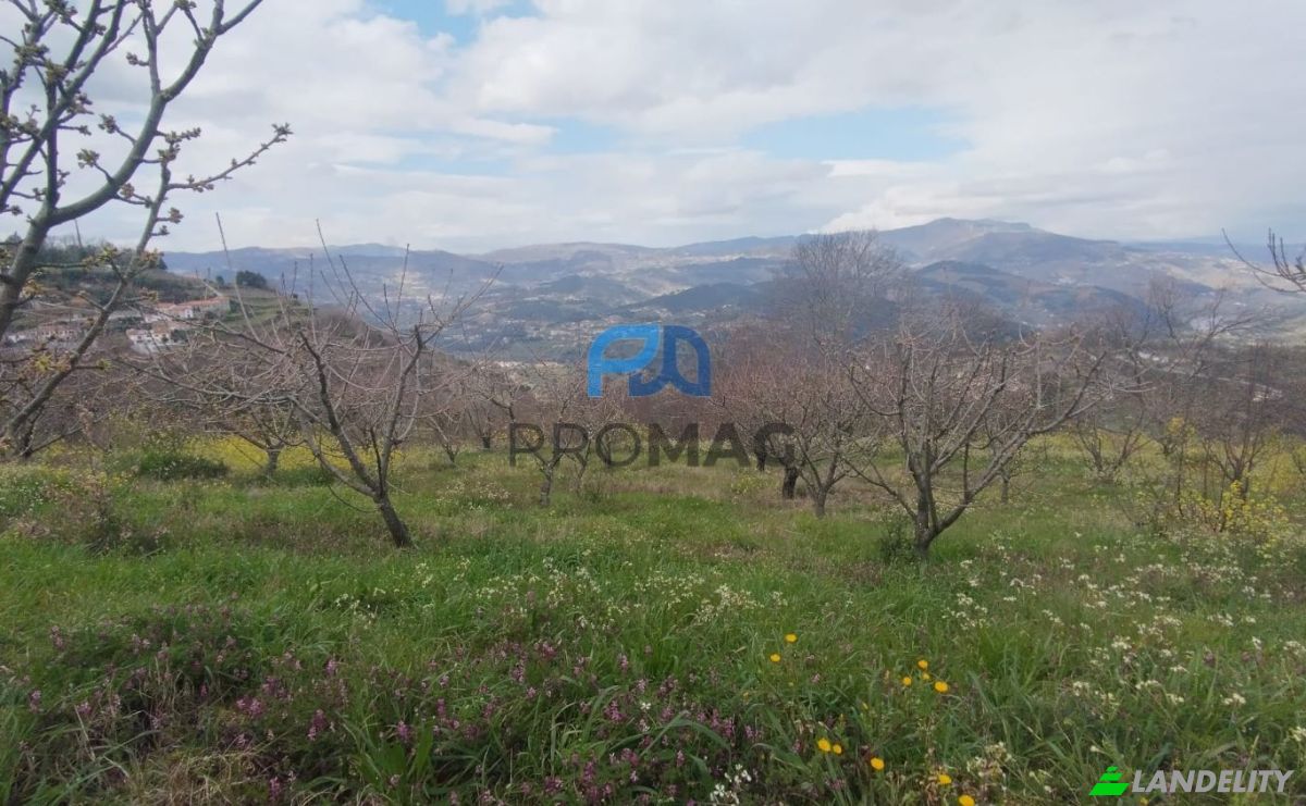 Land Lot for Sale Arco, 4660 Resende, Resende, Viseu District, Portugal. Photo 4