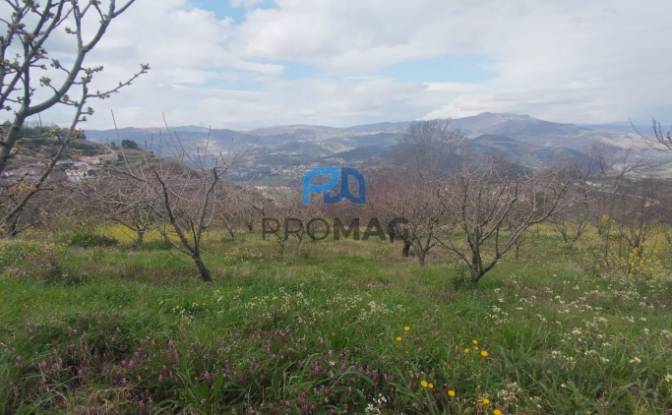 Land Lot for Sale Arco, 4660 Resende, Resende. Photo#4