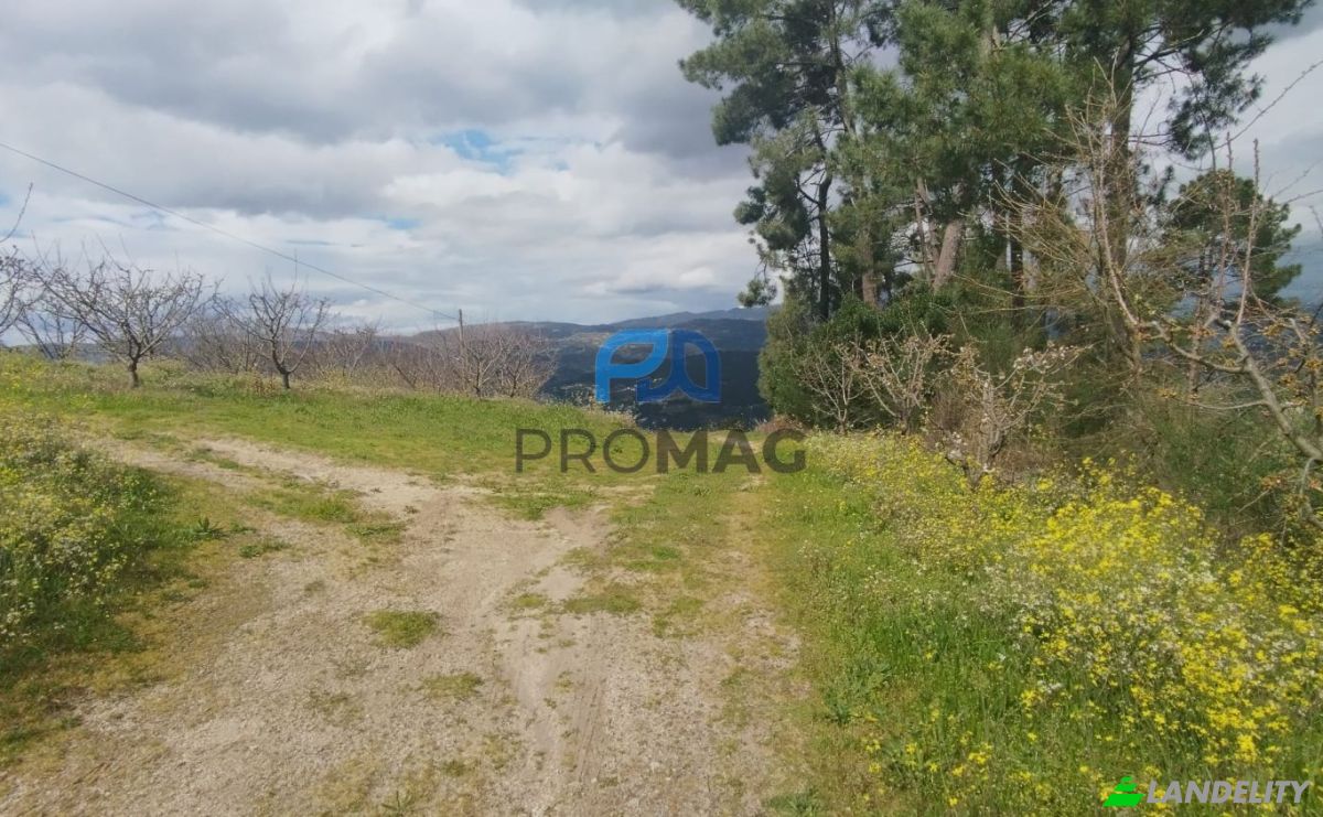 Land Lot for Sale Arco, 4660 Resende, Resende, Viseu District, Portugal. Photo 9