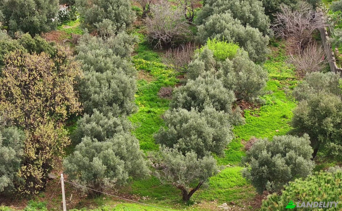 Lote de terreno à venda Via delle Rose, 88069 Copanello CZ, Copanello, Province of Catanzaro, Calabria, Italy. foto 6