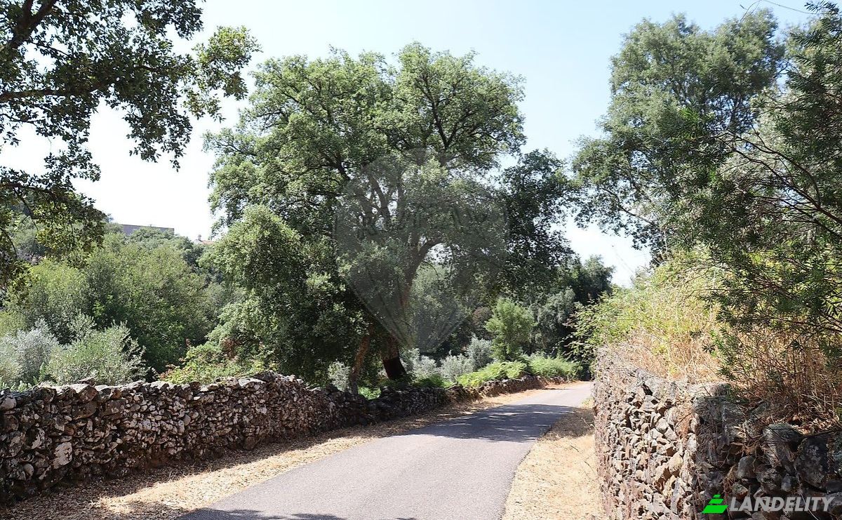Bauernhof/Ranch zu verkaufen EM1088 5, 7330, Santo Antonio das Areias, Marvao, Portalegre District, Portugal. Foto 19