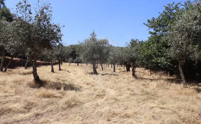 Bauernhof/Ranch zu verkaufen EM1088 5, 7330. Foto#4
