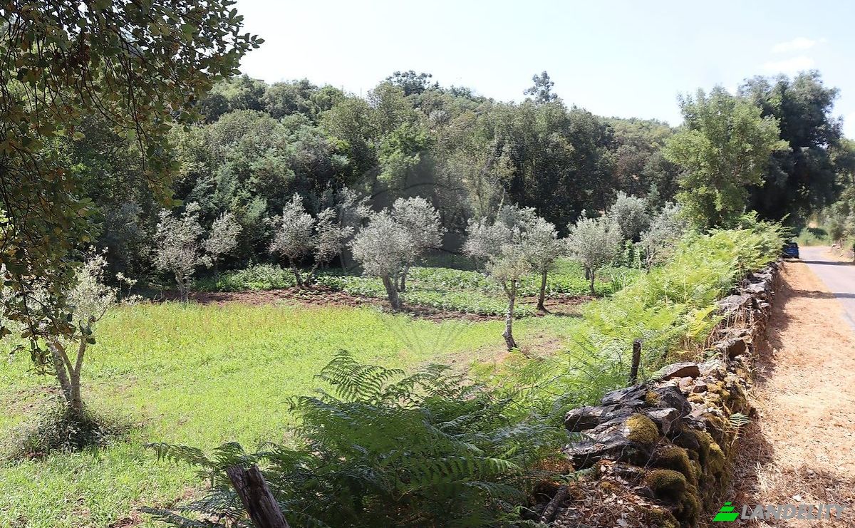 Bauernhof/Ranch zu verkaufen EM1088 5, 7330, Santo Antonio das Areias, Marvao, Portalegre District, Portugal. Foto 7