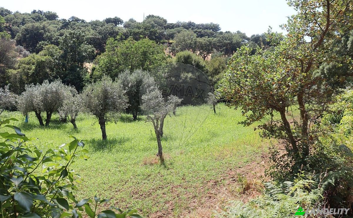 Bauernhof/Ranch zu verkaufen EM1088 5, 7330, Santo Antonio das Areias, Marvao, Portalegre District, Portugal. Foto 8