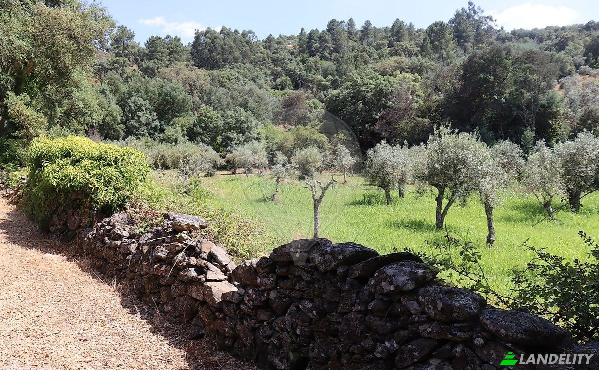 Bauernhof/Ranch zu verkaufen EM1088 5, 7330, Santo Antonio das Areias, Marvao, Portalegre District, Portugal. Foto 9