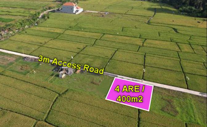 Land Lot for Sale - Mengwi, Indonesia