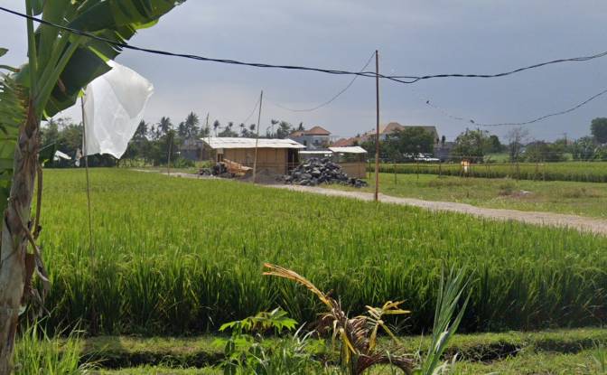 Land Lot for Sale Jl Pantai Seseh No1, Cemagi. Photo#2